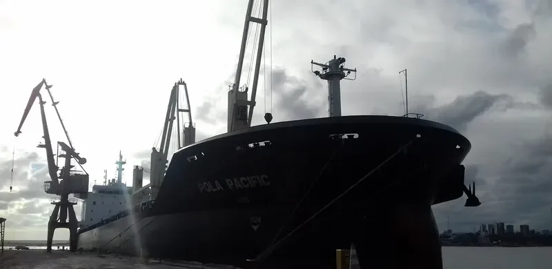 POLA PACIFIC Bulk Carrier IMO 9497878 photo 8