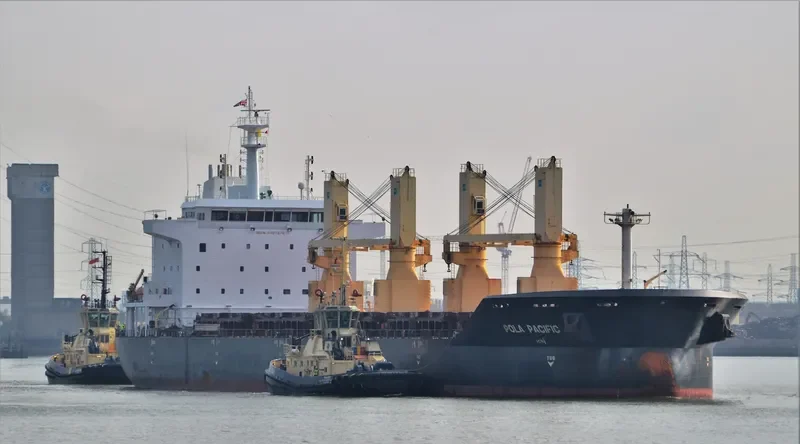 POLA PACIFIC Bulk Carrier IMO 9497878 photo 9