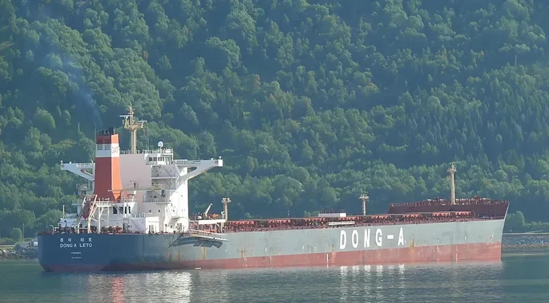WINNING RICH Bulk Carrier IMO 9498054