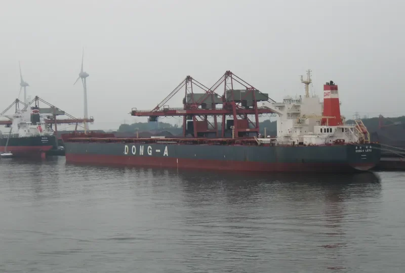 WINNING RICH Bulk Carrier IMO 9498054 photo 5