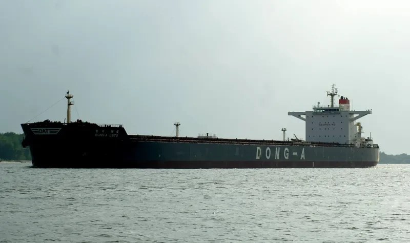 WINNING RICH Bulk Carrier IMO 9498054 photo 8