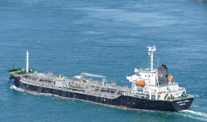 GOLDEN CYGNUS Tanker IMO 9498080 photo 4