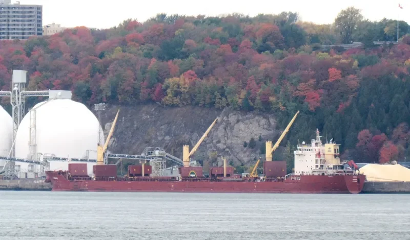 SUNDA Bulk Carrier IMO 9498236