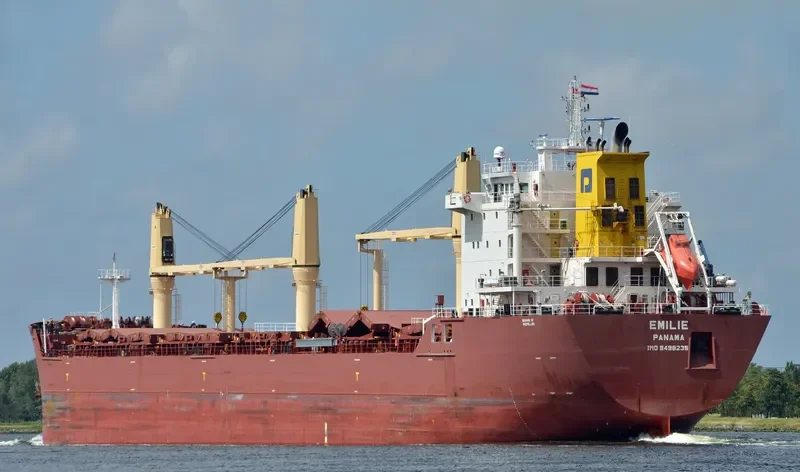 SUNDA Bulk Carrier IMO 9498236 photo 2