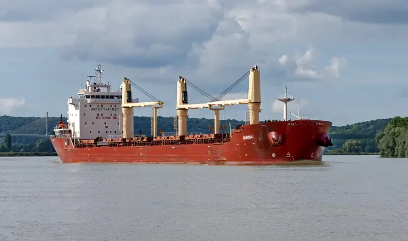 SUNDA Bulk Carrier IMO 9498236 photo 6