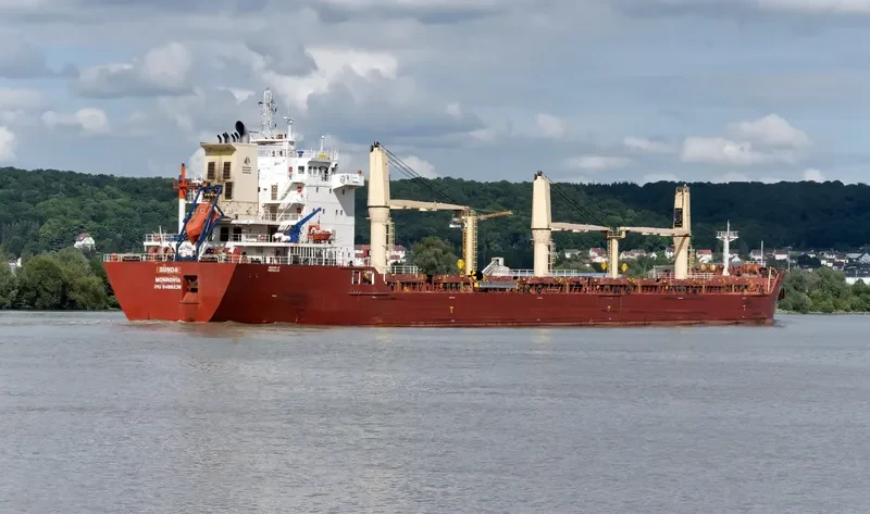 SUNDA Bulk Carrier IMO 9498236 photo 7