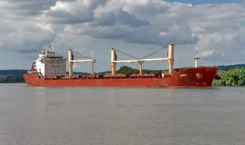 SUNDA Bulk Carrier IMO 9498236 photo 8