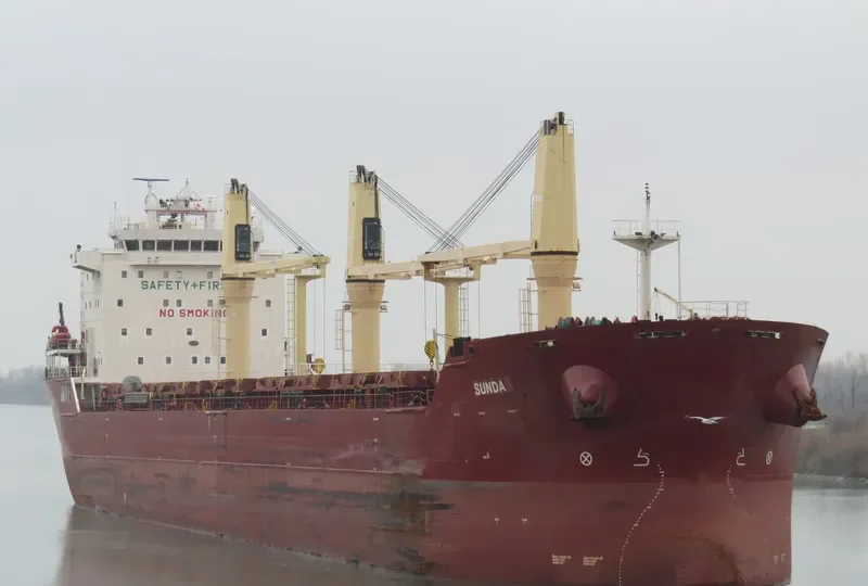 SUNDA Bulk Carrier IMO 9498236 photo 9