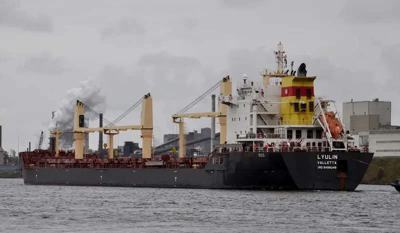 LYULIN Bulk Carrier IMO 9498248 photo 6