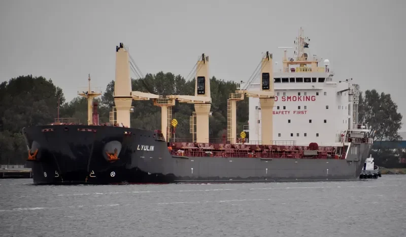 LYULIN Bulk Carrier IMO 9498248 photo 7
