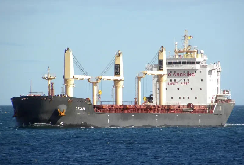 LYULIN Bulk Carrier IMO 9498248 photo 8