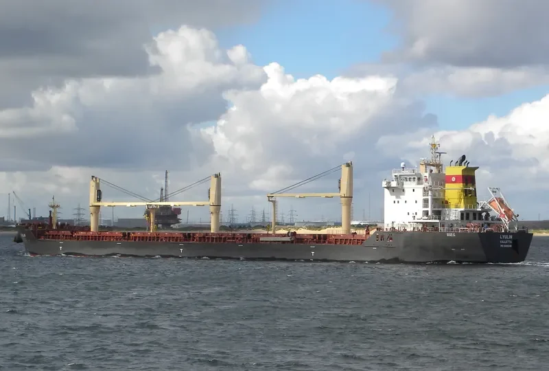 LYULIN Bulk Carrier IMO 9498248 photo 9