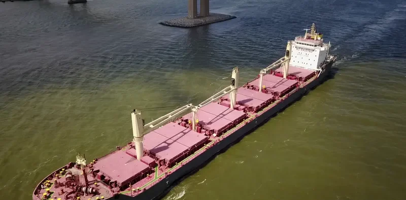 LYULIN Bulk Carrier IMO 9498248 photo 10