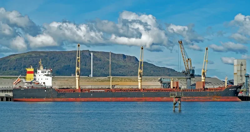 BELASITZA Bulk Carrier IMO 9498262 photo 10