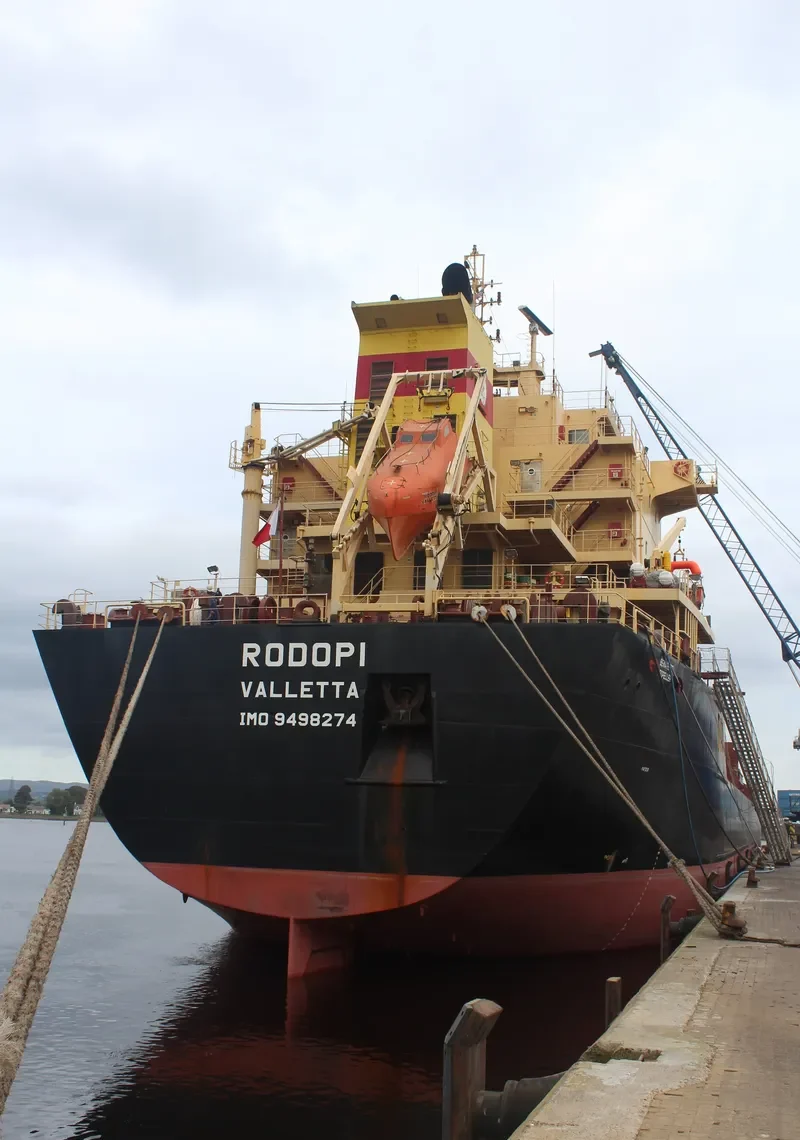 RODOPI Bulk Carrier IMO 9498274 photo 2
