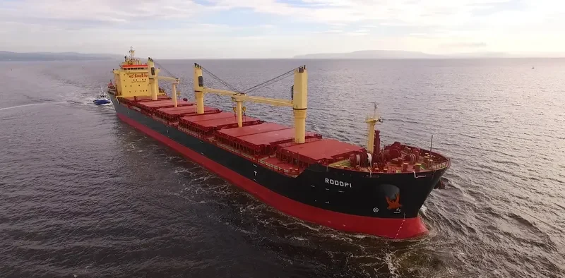 RODOPI Bulk Carrier IMO 9498274 photo 5