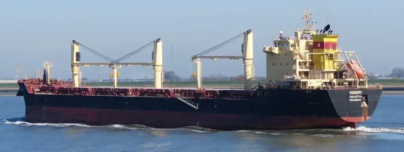 RODOPI Bulk Carrier IMO 9498274 photo 6