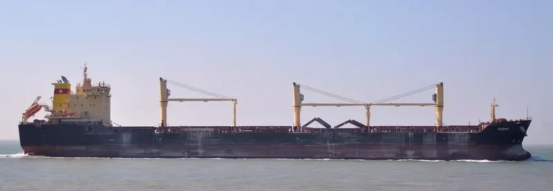 RODOPI Bulk Carrier IMO 9498274 photo 7