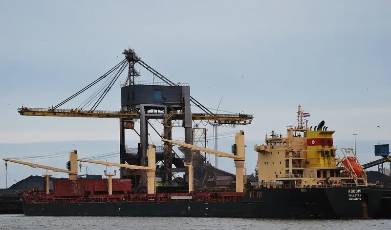 RODOPI Bulk Carrier IMO 9498274 photo 9