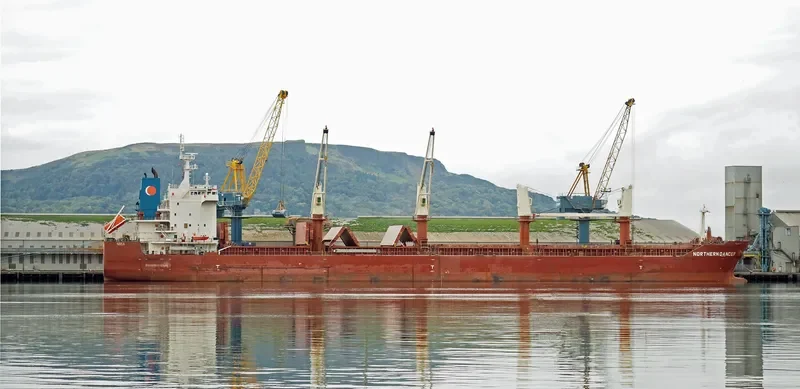 OCCITAN PESSAC Bulk Carrier IMO 9498286