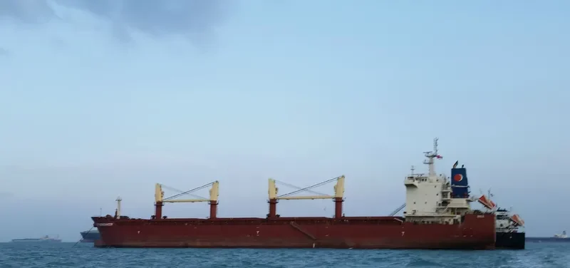 OCCITAN PESSAC Bulk Carrier IMO 9498286 photo 6