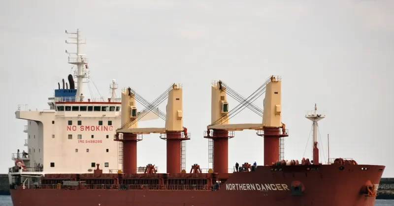 OCCITAN PESSAC Bulk Carrier IMO 9498286 photo 10