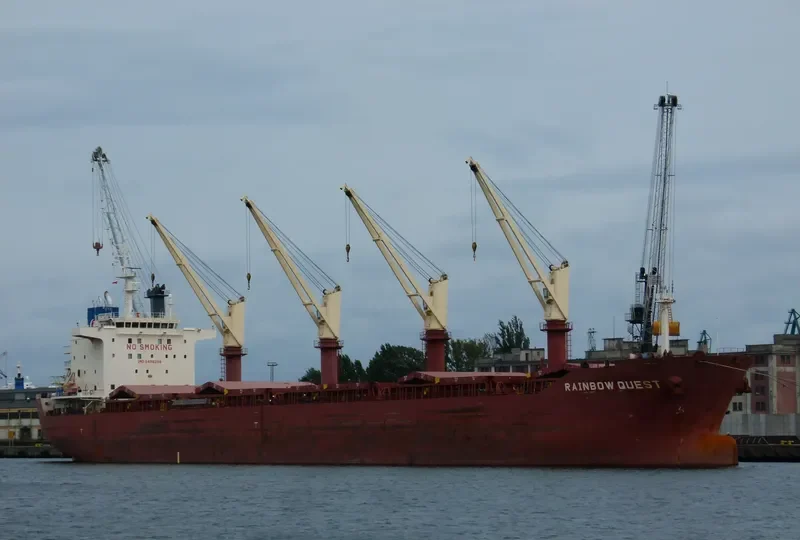 BERNIS Bulk Carrier IMO 9498298 photo 4
