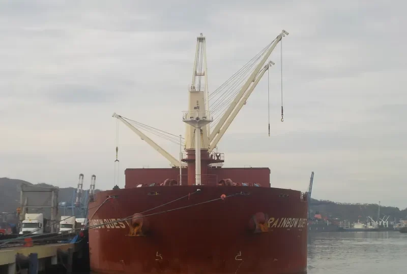 BERNIS Bulk Carrier IMO 9498298 photo 8