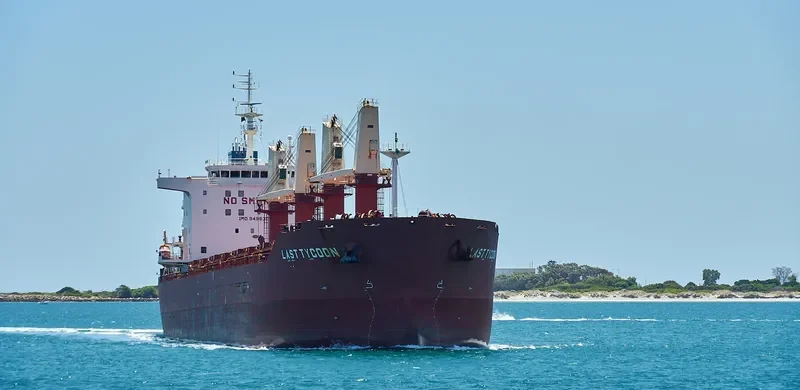 SEASTAR EXPLORER Bulk Carrier IMO 9498303