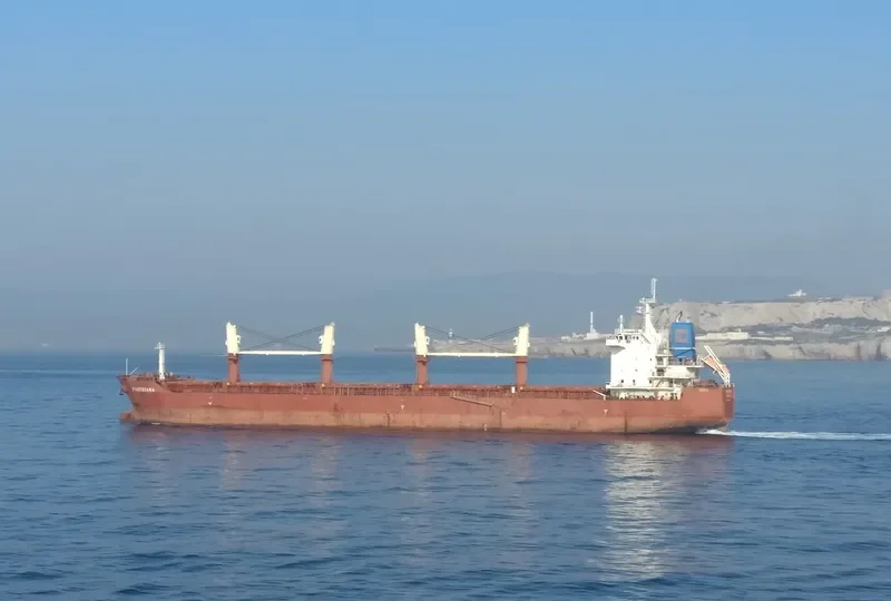 LILA II Bulk Carrier IMO 9498315 photo 4