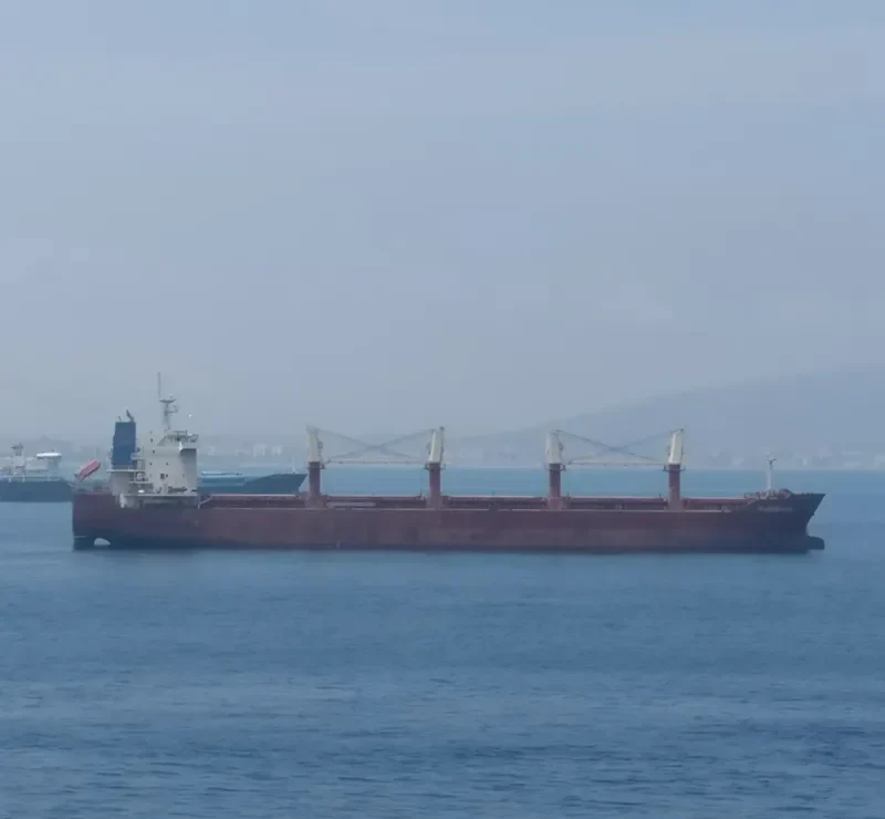 LILA II Bulk Carrier IMO 9498315 photo 5