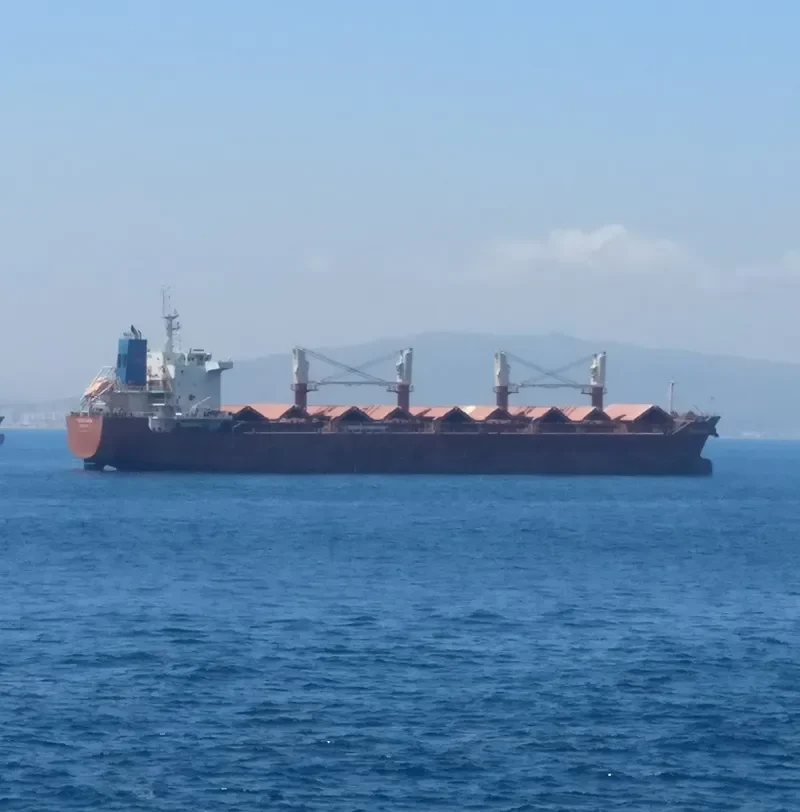 LILA II Bulk Carrier IMO 9498315 photo 6