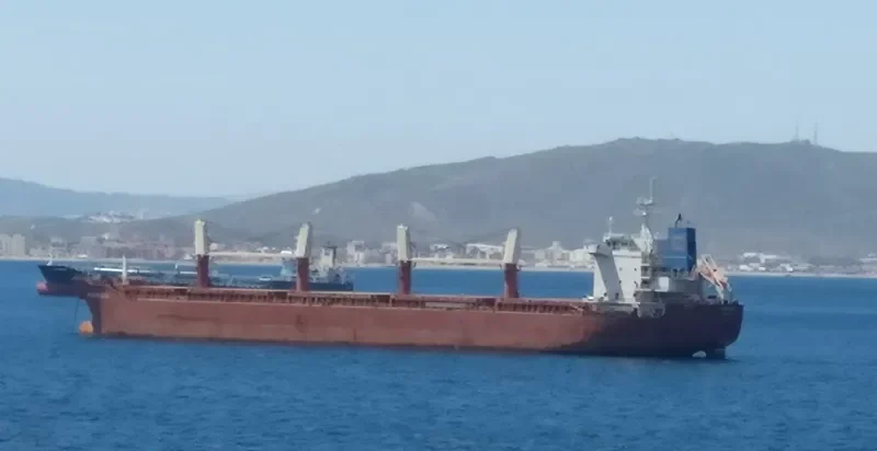LILA II Bulk Carrier IMO 9498315 photo 7