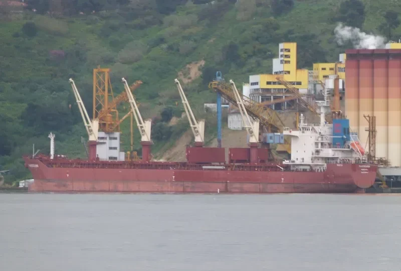 LILA II Bulk Carrier IMO 9498315 photo 9