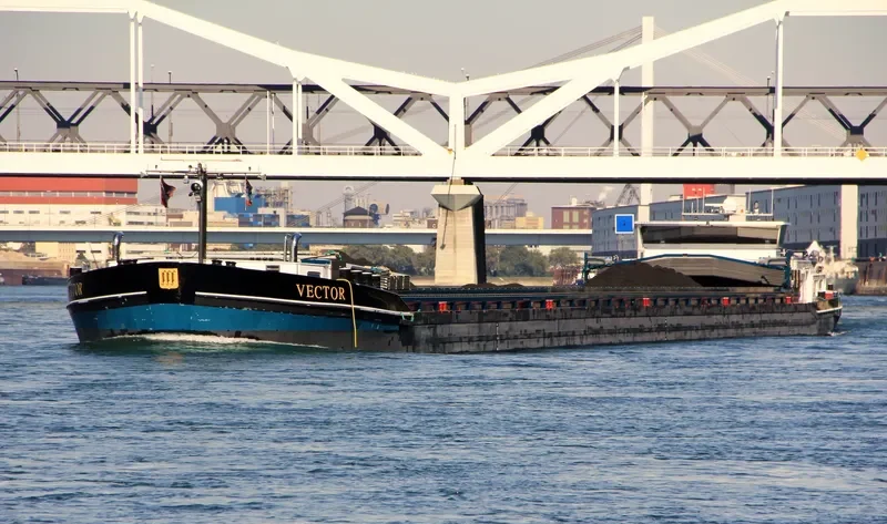 VECTOR General Cargo IMO 9498339 photo 5
