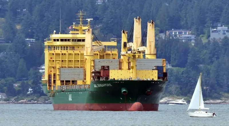 AAL SINGAPORE General Cargo IMO 9498365 photo 3