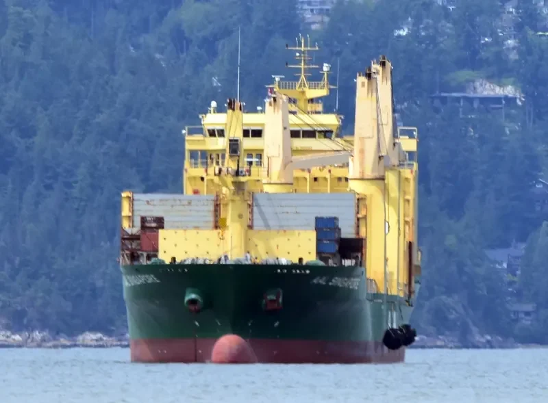 AAL SINGAPORE General Cargo IMO 9498365 photo 4