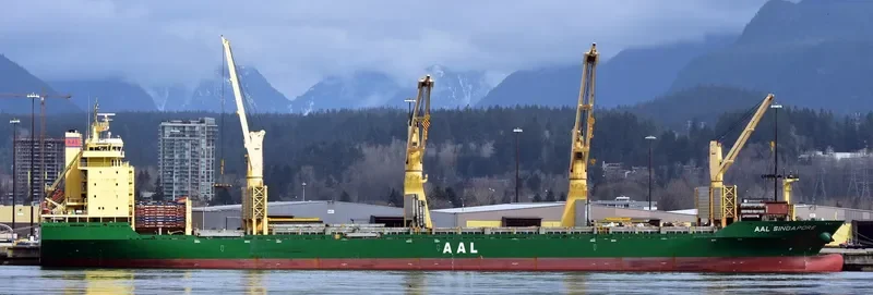 AAL SINGAPORE General Cargo IMO 9498365 photo 5