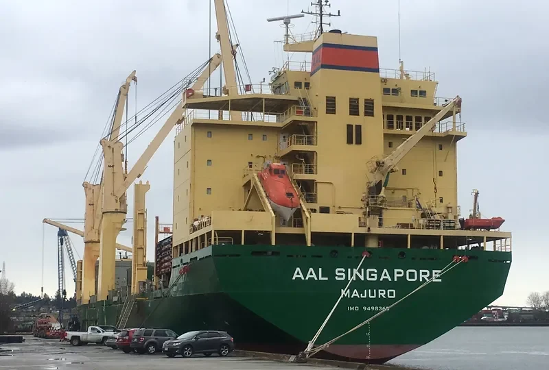 AAL SINGAPORE General Cargo IMO 9498365 photo 6