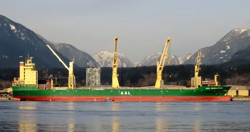 AAL SINGAPORE General Cargo IMO 9498365 photo 8