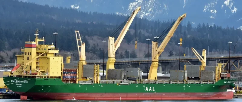 AAL SINGAPORE General Cargo IMO 9498365 photo 10