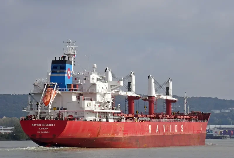 TINA S Bulk Carrier IMO 9498432 photo 4