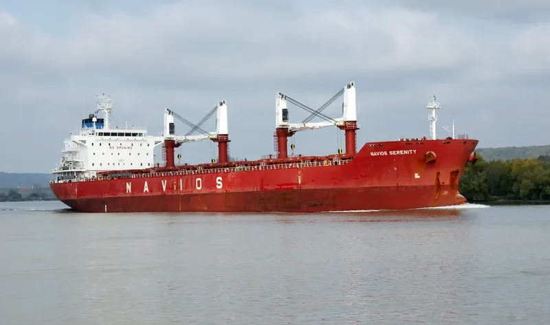 TINA S Bulk Carrier IMO 9498432 photo 5