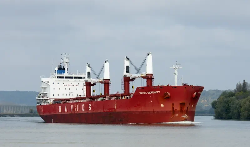 TINA S Bulk Carrier IMO 9498432 photo 6