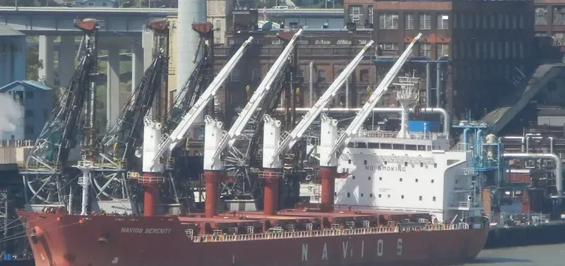 TINA S Bulk Carrier IMO 9498432 photo 7