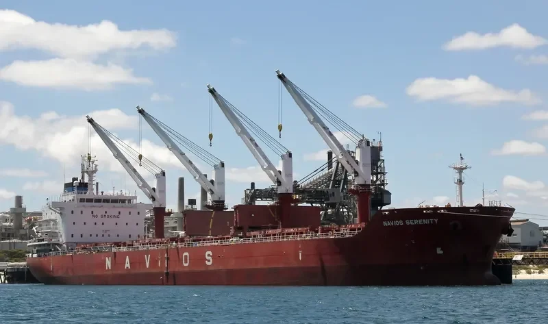 TINA S Bulk Carrier IMO 9498432 photo 8