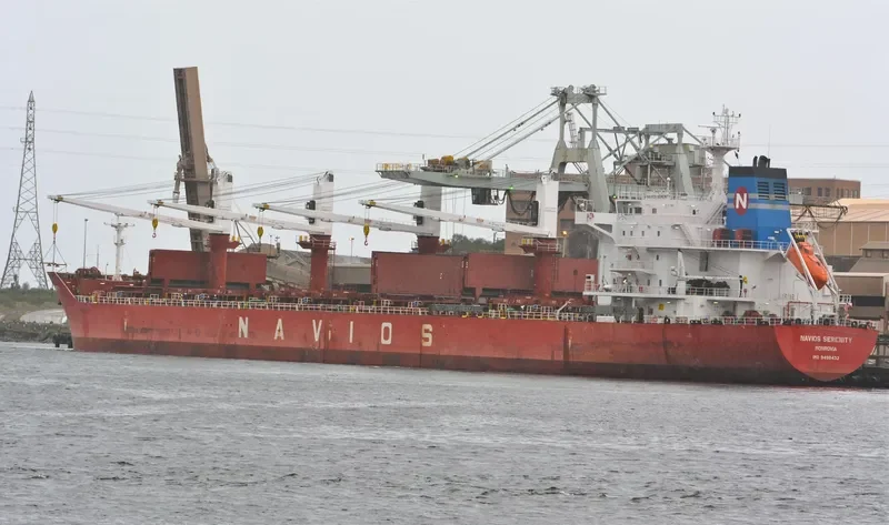 TINA S Bulk Carrier IMO 9498432 photo 10