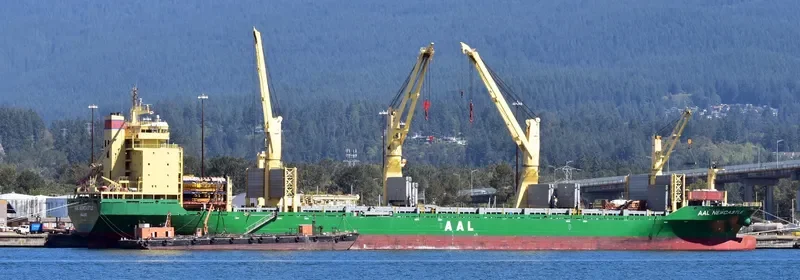 BAHRI DIRIYAH General Cargo IMO 9498482 photo 1761