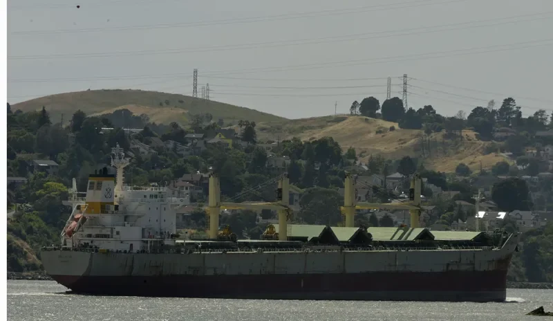 ALIKI FORCE Bulk Carrier IMO 9498559 photo 5