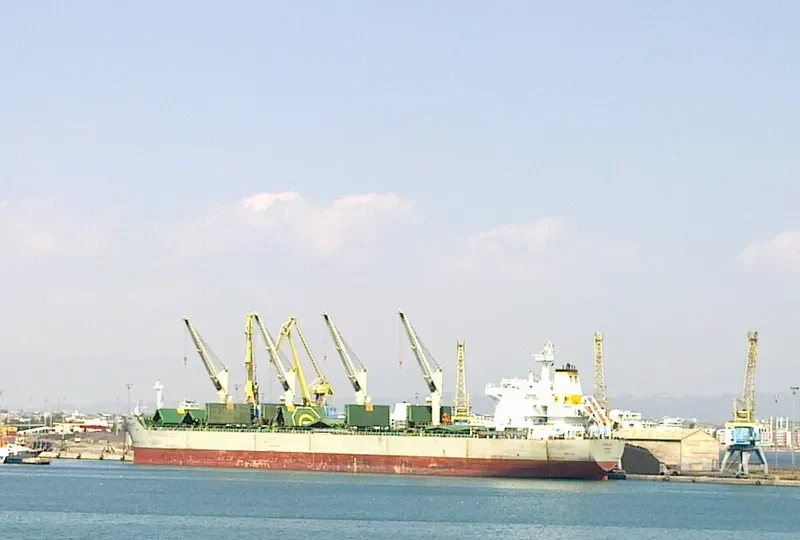 AMILLA Bulk Carrier IMO 9498561 photo 2